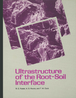 Ultrastructure of the Root-Soil Interface