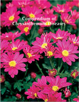 Compendium of Chrysanthemum Diseases