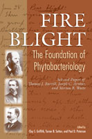 Fire Blight: The Foundation of Phytobacteriology