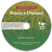 Brassica Diseases Image CD-ROM (Single-User License)