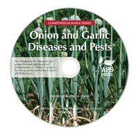 Onion and Garlic Diseases and Pests, Second Edition Image CD-ROM (Single-User License)