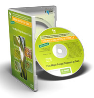 Five Major Fungal Diseases of Corn DVD-ROM