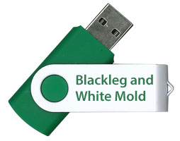 Blackleg and White Mold - Two Major Fungal Diseases of Oilseed Rape FLASH DRIVE