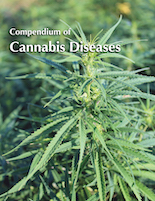 PROGRESSIVE: Compendium of Cannabis