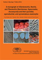 Studies in Mycology No. 71: A monograph of Allantonectria, Nectria, and Pleonectria (Nectriaceae, Hypocreales, Ascomycota) and their pycnidial, sporodochial, and synnematous anamorphs