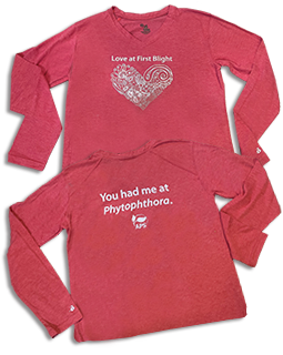 Love at First Bl T-Shirt Women's v-neck heather red (Small)