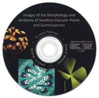 Images of the Morphology and Anatomy of Seedless Vascular Plants and Gymnosperms DVD