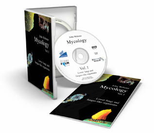 Mycology Volume 1: Lower Fungi and Fungus-Like Organisms (DVD)