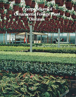 Compendium of Ornamental Foliage Plant Diseases