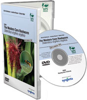 Western Corn Rootworm: Diabrotica virgifera virgifera DVD