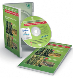 Fungal Pathogens and Diseases of Cereals Vol. 4: Eyespot Disease, Bunt and Smut Diseases DVD