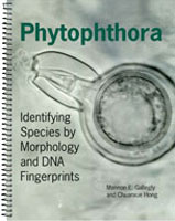 Phytophthora: Identifying Species by Morphology and DNA