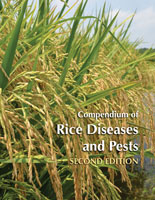 Compendium of Rice Diseases, 2nd Ed (10 copies)