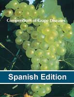 Plagas y Enfermedades de la Vid (Grape Diseases)