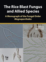 The Rice Blast Fungus and Allied Species...