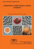 Studies in Mycology No. 73: <em>Colletotrichum</em>: complex species or species complexes?