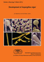 Studies in Mycology No. 74: Development of Aspergillus niger